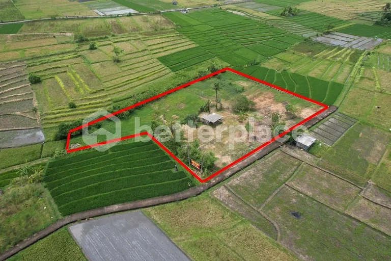 Prime Freehold 35,9 Are Land Opportunity in Peaceful Nyanyi – Large Development Plot Near the Beach