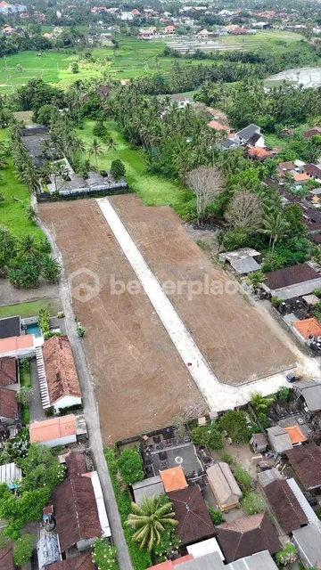 Secure a Premium Freehold Land Parcel in Ubud – Lodtunduh Featuring Picturesque Rice Field Views and an Unmatched Opportunity to Build Your Private Tropical Sanctuary