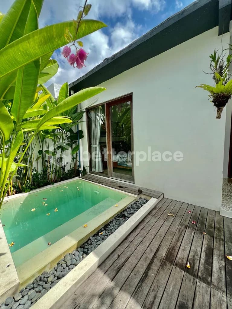 Inviting One-Bedroom Villa in the Heart of Canggu Padonan with Open Living and Relaxed Island Charm
