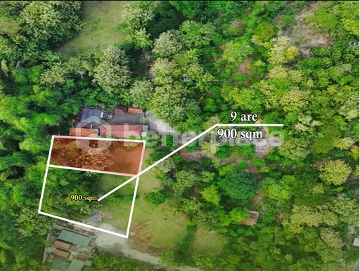 Prime 900 Sqm Leasehold Land in Bukit Ungasan – Perfect for Luxury Villas, Wellness Retreats, or Boutique Hospitality Projects