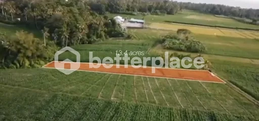Prime 1340 sqm Land in Beraban, Tabanan, Ideal for Investment