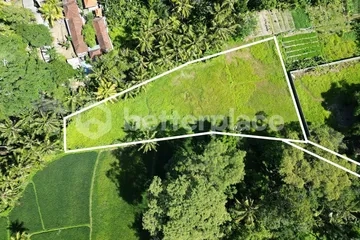 Exclusive 2600 sqm Land with Mesmerizing Rice Field Views in Mas, Ubud