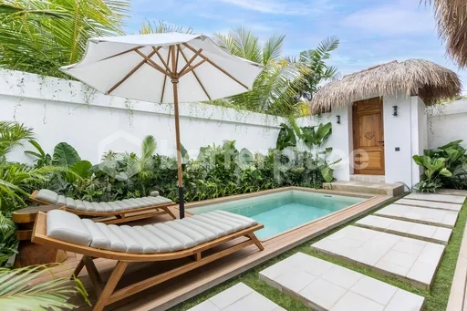 Charming 2 Bedroom Villa in Ubud, A Great Investment Opportunity