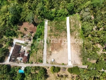Freehold Jungle Sanctuary in Balian – 200 sqm Land Just Minutes from the Beach, Perfect for Your Dream Villa or Investment