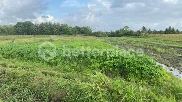 Land of Dreams: Exclusive Leasehold Opportunity in Kedungu – Craft Your Bali Oasis!