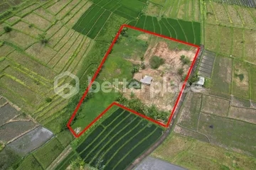 Prime Freehold 35,9 Are Land Opportunity in Peaceful Nyanyi – Large Development Plot Near the Beach