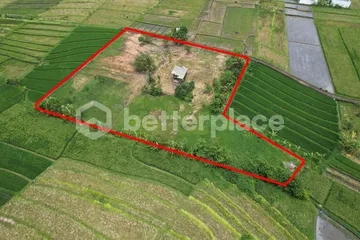 Prime Freehold 35,9 Are Land Opportunity in Peaceful Nyanyi – Large Development Plot Near the Beach