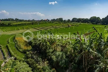 Modern Tropical Villa in Peaceful Tumbak Bayuh – 4 Bedrooms with Ricefield & Sunset Views