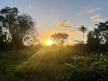 Prime Investment Opportunity, 912 Sqm Land in Munggu