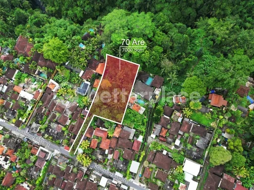 Unearth a Serendipitous Investment in Ubud’s 70 Are Leasehold Secreted Land