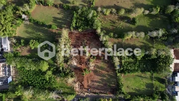 Prime Leasehold Land in Bukit – Bingin: Perfect Opportunity for Development in Bali’s Trending Area!