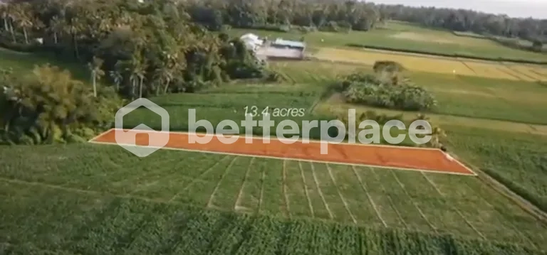 Prime 1340 sqm Land in Beraban – Tabanan, Ideal for Investment