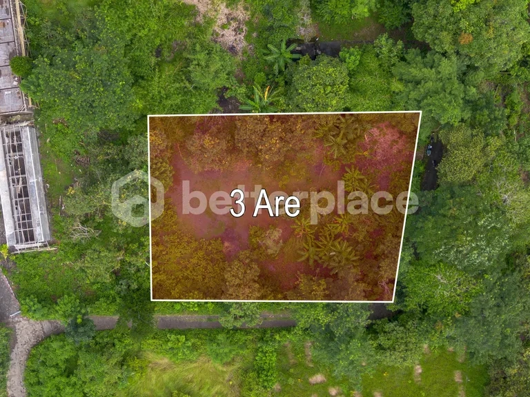 Balanced-Size Land with Flexible Development Potential in Ungasan