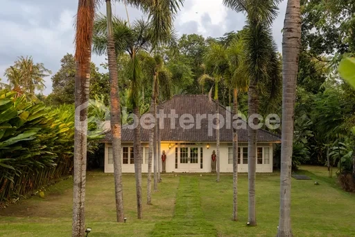 2 Bedroom Villa with Expansive Yard, Private Pool, and Exceptional Long–Term Investment Value in Tumbak Bayuh, Canggu