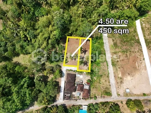 Your Gateway to Bali Luxury Real Estate – 450 sqm Freehold Land in Balian Surrounded by Jungle, Ideal for Residential or Investment Use