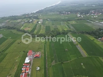 Prime 19,5 Are Freehold Land in Kedungu – A Growing Investment Opportunity